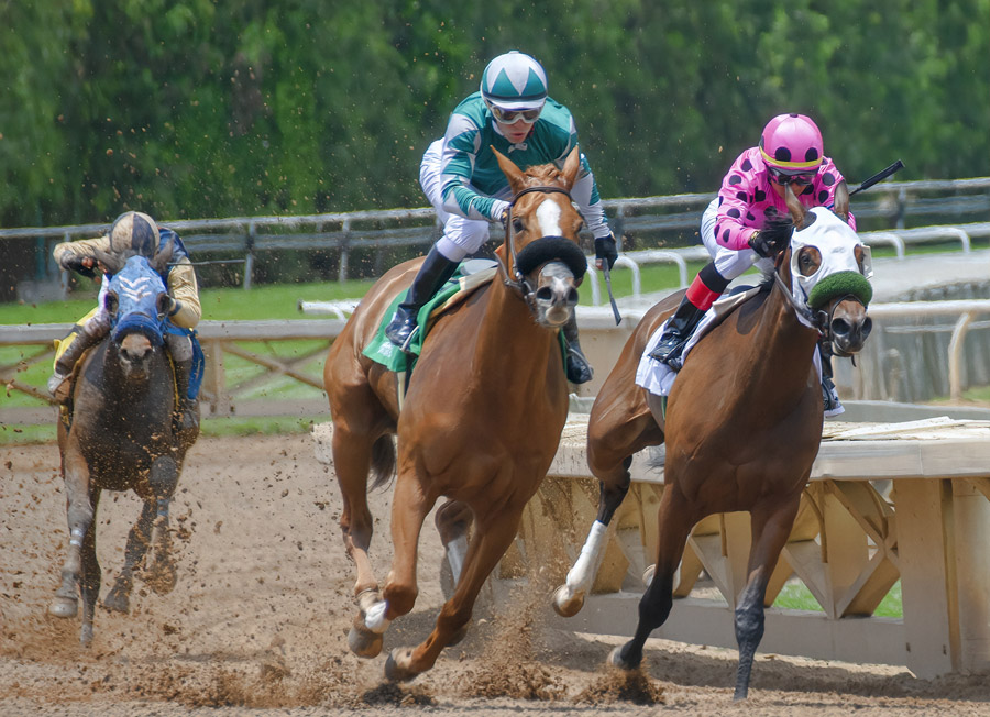 競馬イメージ